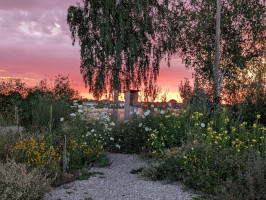Wildbienengarten Puchheim