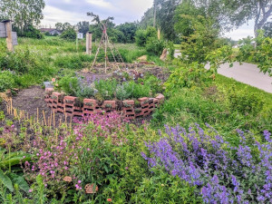 Wildbienengarten Puchheim